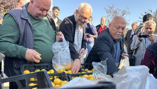 Hatay'da üreticiler, alıcı çıkmayan tonlarca mandalinayı ücretsiz dağıttı