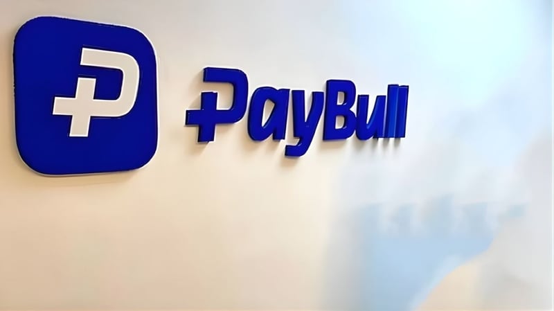 Son dakika... Paybull soruşturmasında 13 tutuklama