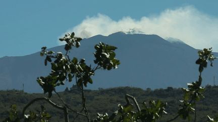 Sicile : sur les pentes de l'Etna, une pistache qui vaut de l'or