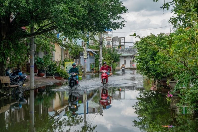 Vietnam'da şiddetli yağışların neden olduğu sellerde 55 kişi hayatını kaybetti