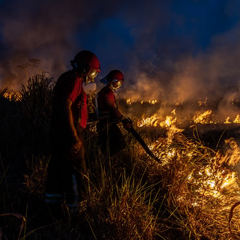 Stopping the Greatest Threat to the Amazon, One Fire at a Time
