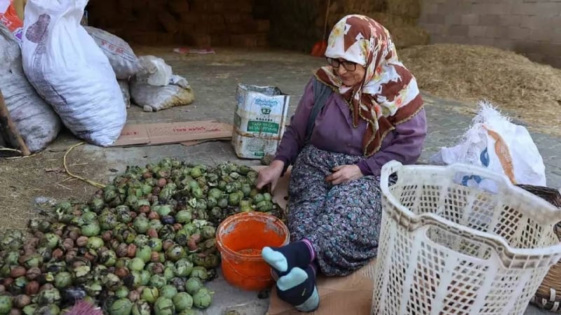 Doktoru önerdi, şeker hastalığını yendi! 74’lük Dursun nine gençlere taş çıkarıyor