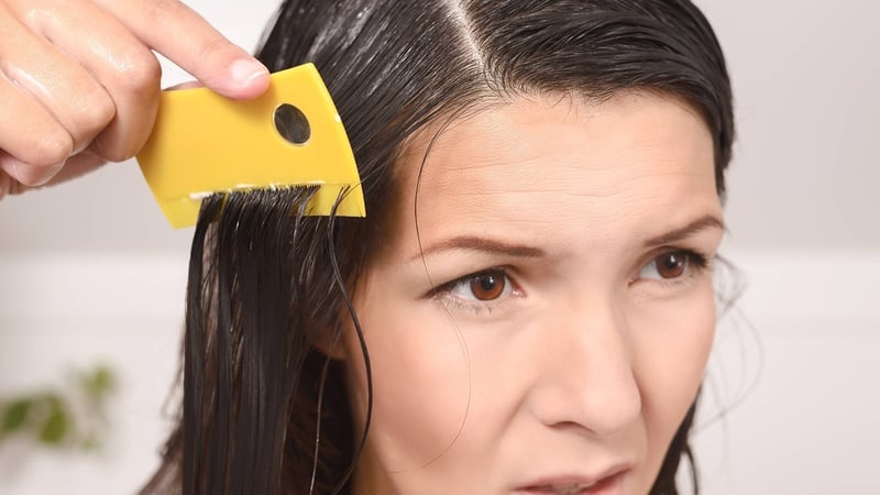 Frau erwartet Läuse – doch stattdessen wird sie mit Krankheit diagnostiziert