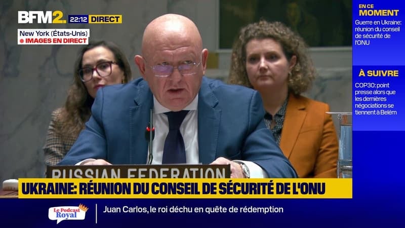 Les pays européens "attisent l'hystérie anti-russe pour faire peur et inquiéter", affirme l'ambassadeur de Russie à l'ONU