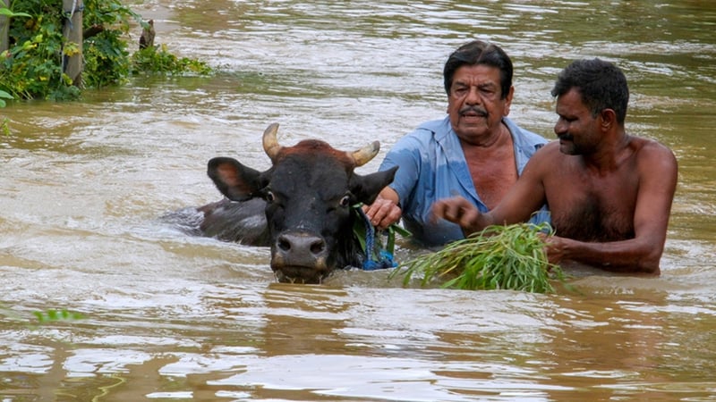 Sri Lanka'da şiddetli yağışlar 153 kişinin ölümüne neden oldu