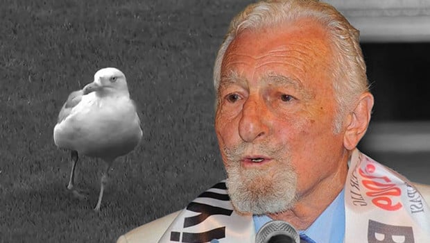 Dolmabahçe'deki maçta martı sürprizi: Süleyman Seba'nın sözleri akıllara geldi!