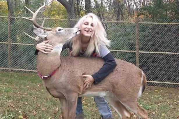 Grandma mauled to death by pet deer she helped to save and looked after