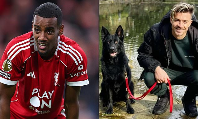 Alexander Isak buys '£30,000' Dobermann as Liverpool star becomes the latest Premier League footballer to splash out on a guard dog
