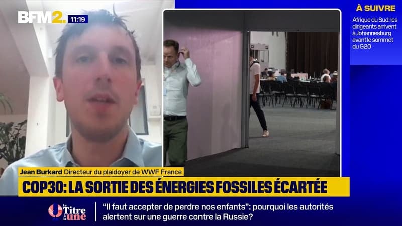 "Leadership brésilien", "hypocrisie de l'Union européenne": WWF France tire les premières leçons de la COP30