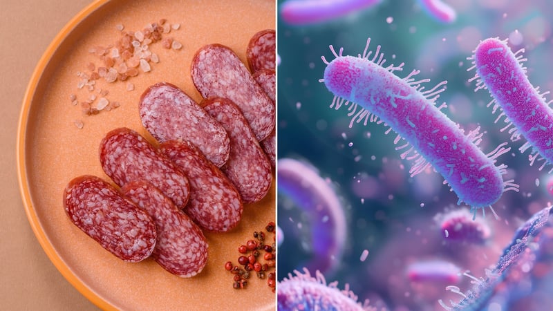 Wurst-Rückruf wegen E.coli-Bakterien – Produkt bei Rewe und Edeka im Verkauf