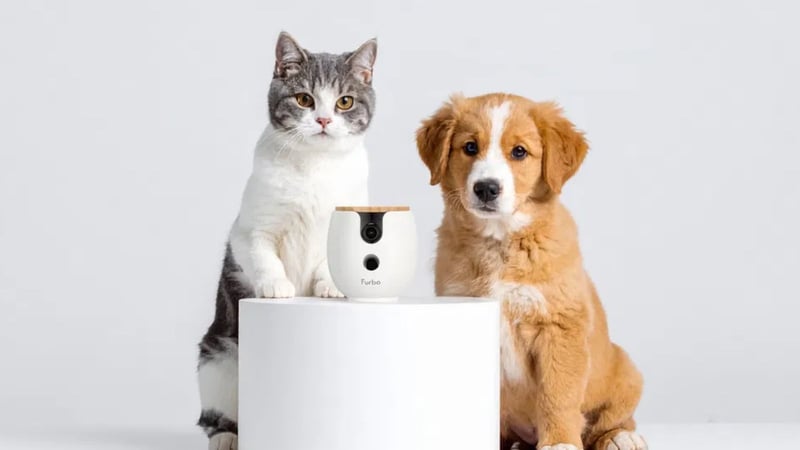 This Smart Pet Camera Is A Game-Changer – The Perks Of A Nanny Without The Price Tag