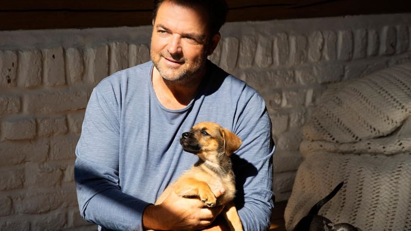 Tipps vom Profi: Hundetrainer Martin Rütter: Das sind die drei größten Erziehungsfehler