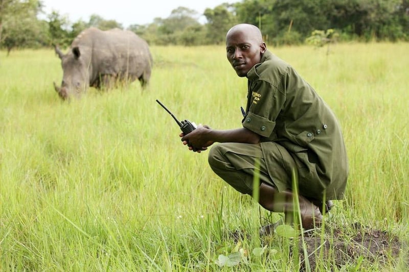 “Make The Planet A Line Item”: How 1% For The Planet Is Rewiring Corporate Giving