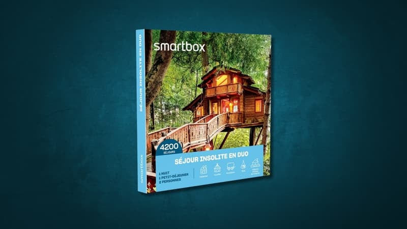 Sud-Rail ne veut pas que la SNCF offre des Smartbox aux cheminots car ces coffrets cadeau appartiennent au "milliardaire d'extrême droite" Pierre-Edouard Stérin