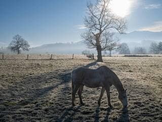 Météo : après des températures anormalement douces pour la saison, le mercure va chuter dans les jours à venir