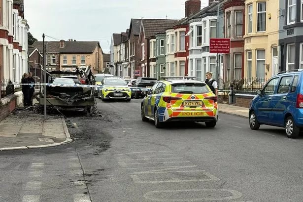 Mum runs into burning house to save son, cats and bearded dragons