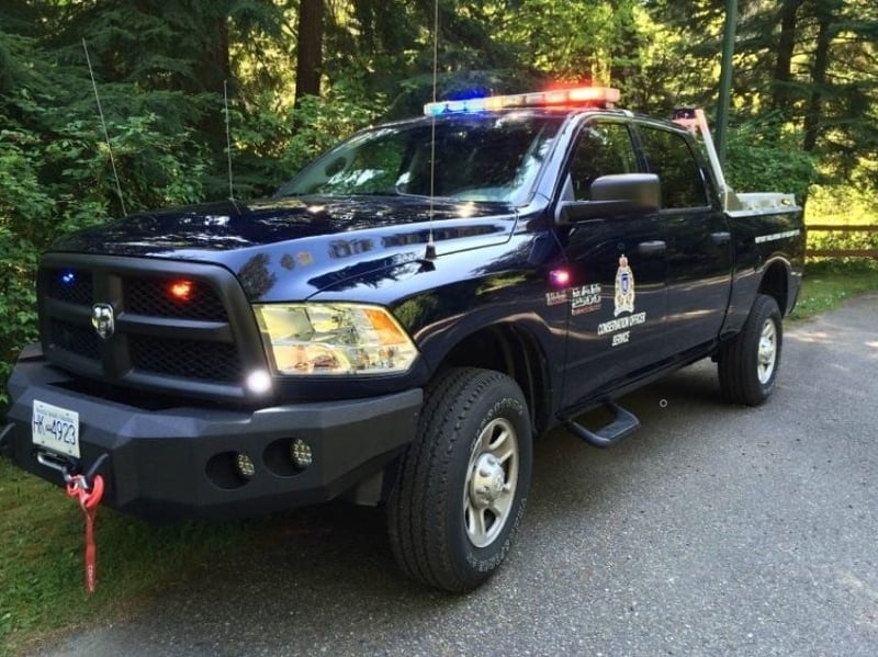 Officials investigating possible grizzly bear attack in Bella Coola