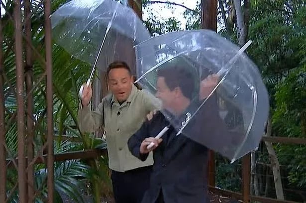 I'm A Celebrity LIVE updates: Ant McPartlin suffers extremely awkward slip blunder
