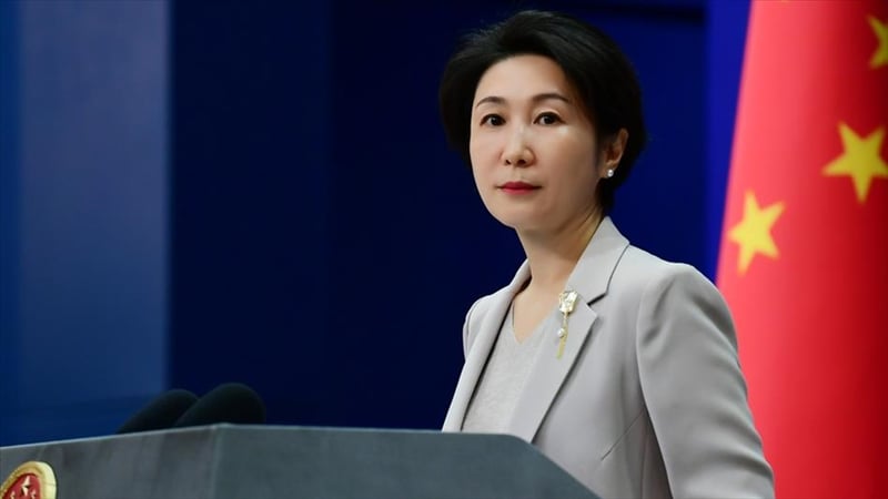 Çin ile Japonya arasında Tayvan gerilimi: "Sizin işiniz değil"