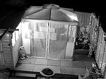 Moment angry neighbour sets army veteran grandfather's gazebo on fire while he is soaking in the hot tub 'because he was jealous of his nice garden'