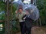 I'm A Celebrity fans left in hysterics as Ant McPartlin slips over and lobs his broken umbrella off screen just minutes into the show