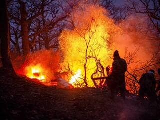 En Iran, un incendie ravage un « massif forestier unique » inscrit au patrimoine naturel de l’Unesco