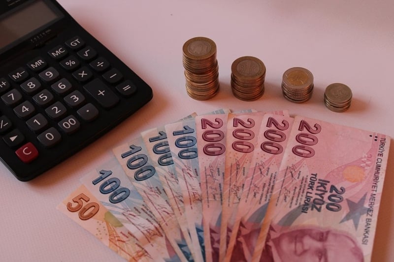 Ünlü ekonomistten asgari ücret tahmini: 'Maksimum bu rakam olacak'