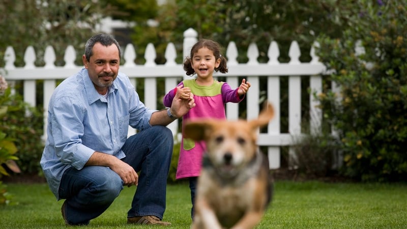 So hilft uns die Forschung an Hunden, Altern früher zu erkennen und zu beeinflussen