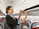 Flight attendant reveals the common item you should leave at home - and what to pack instead