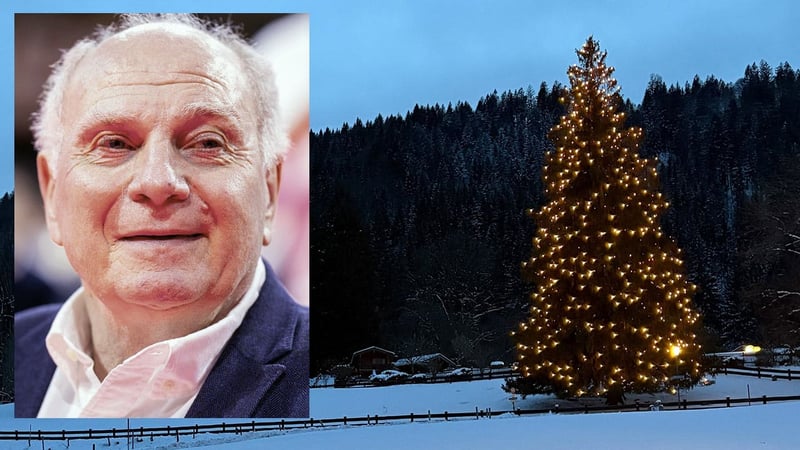 Hoeneß über seine Weihnachts-Fichte - Es dauert zwei Tage, diesen XXXXL-Baum herzurichten