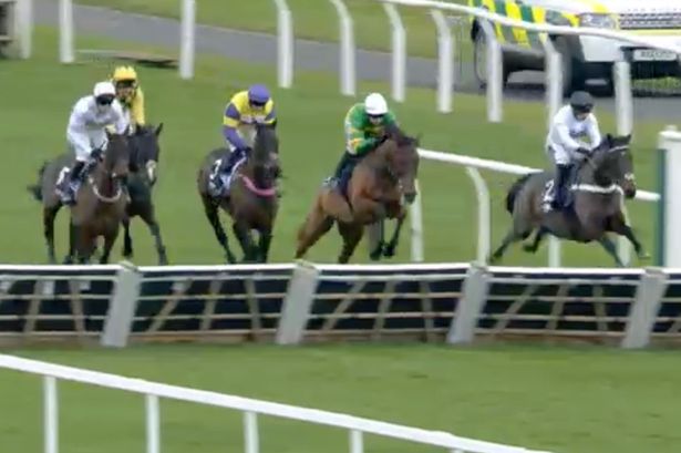 Trainer Nicky Henderson reacts to Constitution Hill's fall in Fighting Fifth Hurdle