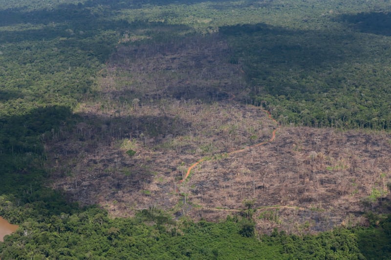 Buch von Uwe Ritzer | Profitgier und Ressourcenklau als »Thriller«