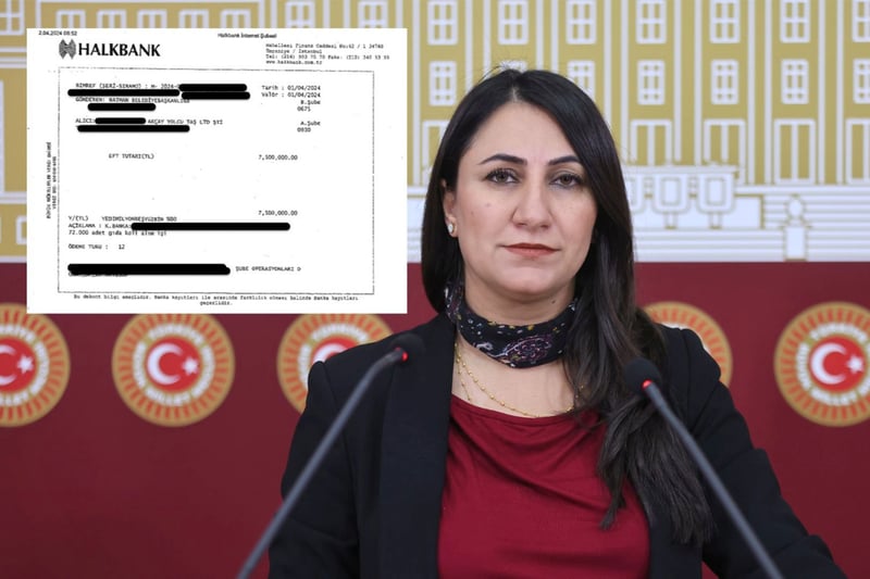 DEM Parti’li Oduncu: Kayyım, AKP’li aday için koli dağıttı