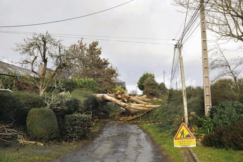 « On ne lâchera pas, même si l’État est en dessous de tout » : au Salon des maires, des élus bien seuls face à la transition écologique