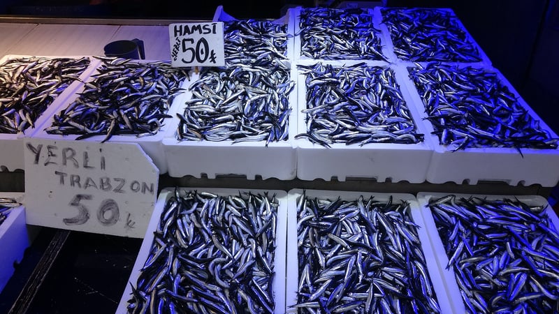 Karadeniz'de hamsi bolluğu: Tezgahlar doldu taştı