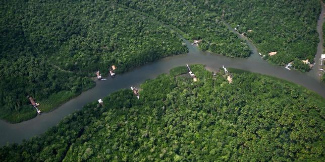 L’Amazonie est-elle encore un « poumon vert » de la planète ? Comprendre en trois minutes