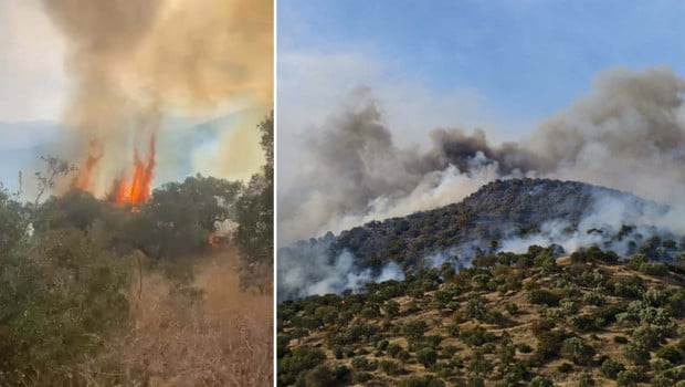 Son dakika... Aydın'da orman yangını! Rüzgarın etkisiyle yayıldı