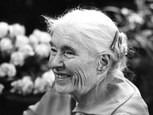 Literatur: Unbekannte Liebesbriefe von Anna Seghers veröffentlicht