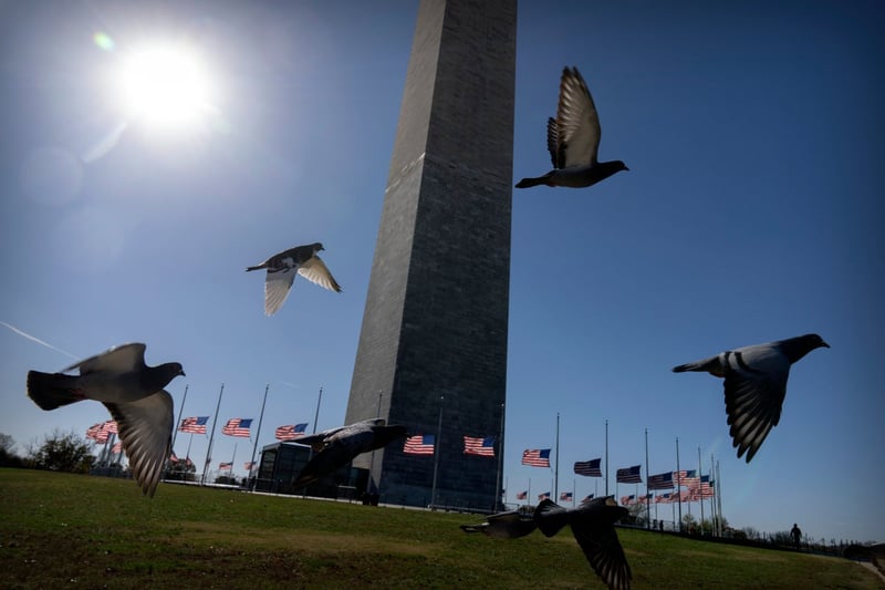 The top photos of the day by AP's photojournalists
