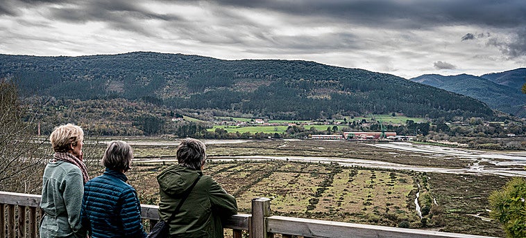 El Guggenheim se aleja de Urdaibai: el proyecto está a punto de abandonarse en un cajón