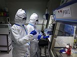 'Worrying' virus resistant to body's defense system... as experts warn of looming 'pandemic threat'