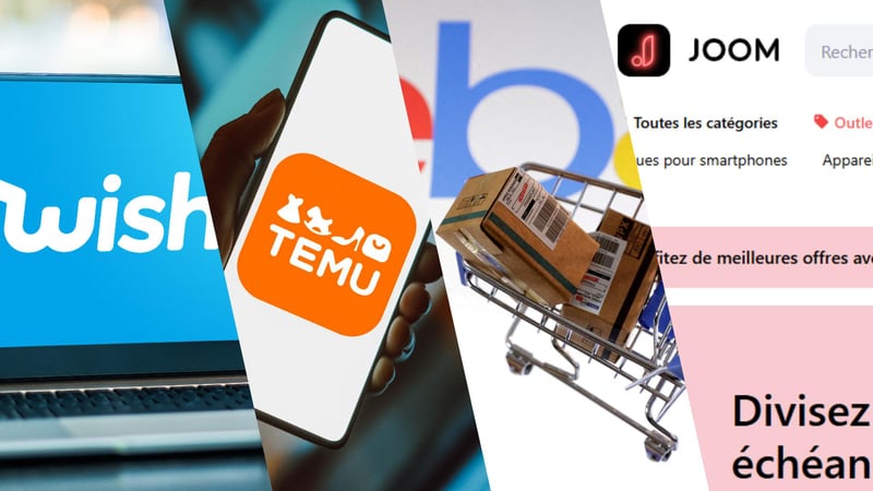 Wish, Temu, eBay, Joom... Après Shein, ces autres plateformes dans le viseur du gouvernement pour vente de produits illégaux
