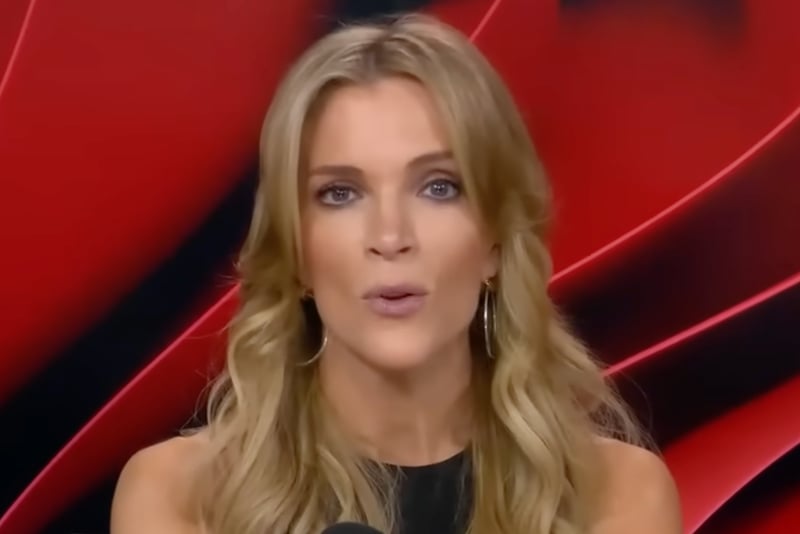 Megyn Kelly slammed for questioning if Jeffrey Epstein was really a pedophile