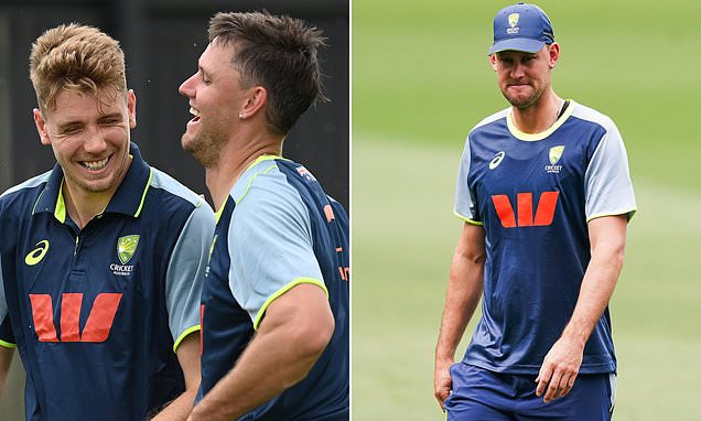 Aussie cricket fans say the team has made a HUGE mistake just before the Ashes