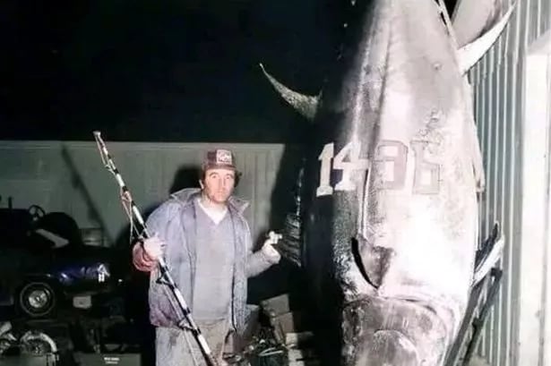 World's largest tuna ever caught was bigger than fisherman and weighed 107st