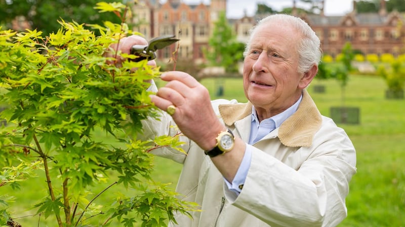 König Charles hat einen grünen Daumen - Das Gartenwunder von Sandringham