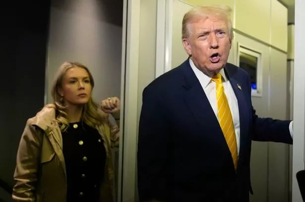 Donald Trump's press secretary Karoline Leavitt defends vile 'piggy' outburst - 'It was respectful'