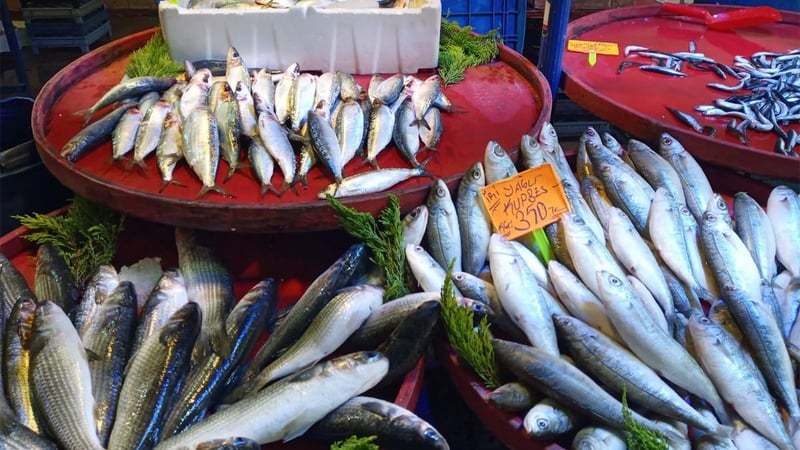 Kasım ayında hangi balıklar yenir? İşte sofranıza girmesi gereken 10 lezzet!