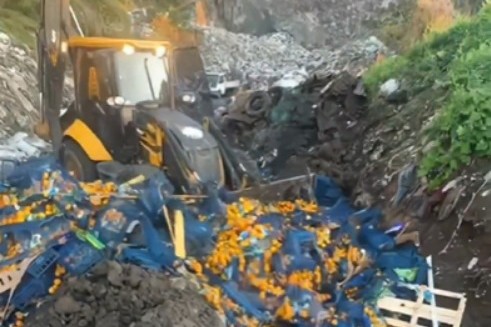 Mandalinada zirai ilaç kalıntısı bulundu | Bakanlık 6 ton mandalinayı plastik kasalarla toprağa gömdü