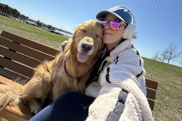Lawyer turned pet influencer shares wild amount she makes posting golden retriever pics
